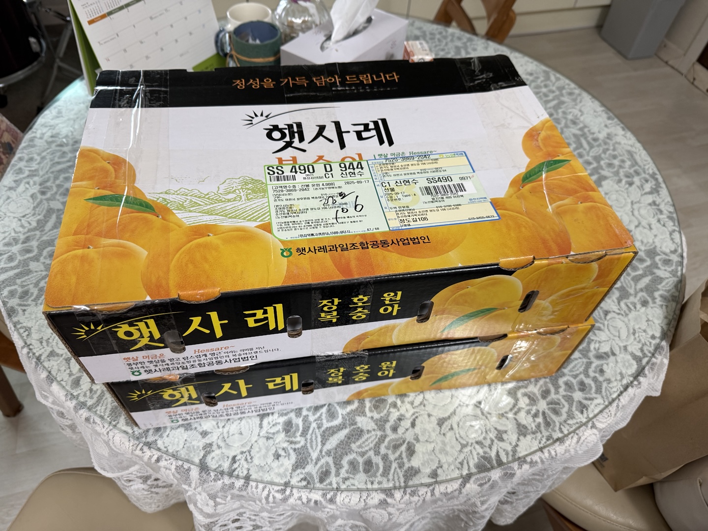/user/s/songsanhyo/editor/2510/c50b0c64f8b85cf7e5c79ff11bd699f7_1760072534_6003.jpg 이미지크게보기